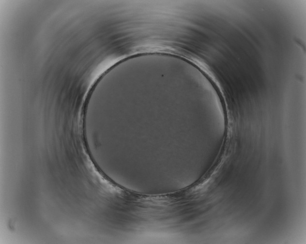 X0000102771053200809081000