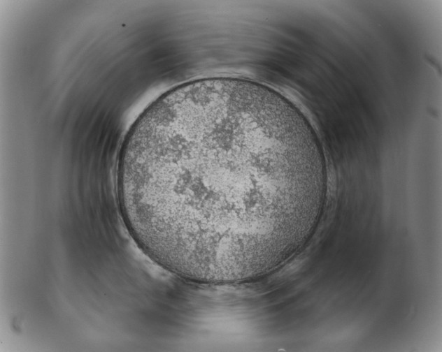 X0000102771054200809081000