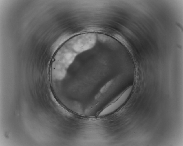 X0000102771055200809081000