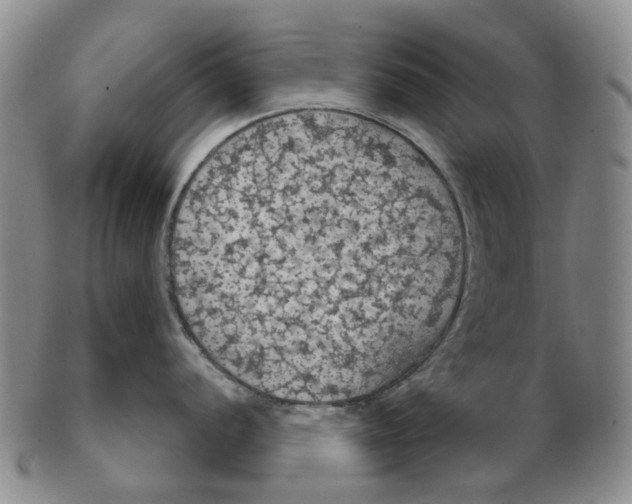 X0000102771056200809081000