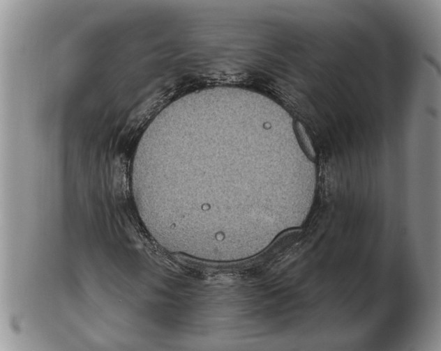 X0000102771058200809080959