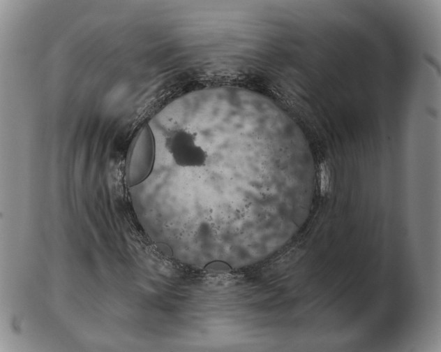 X0000102771059200809080959