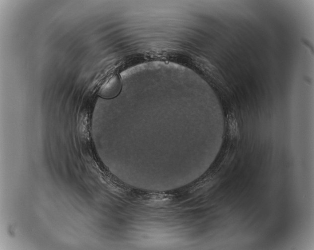 X0000102771060200809080959