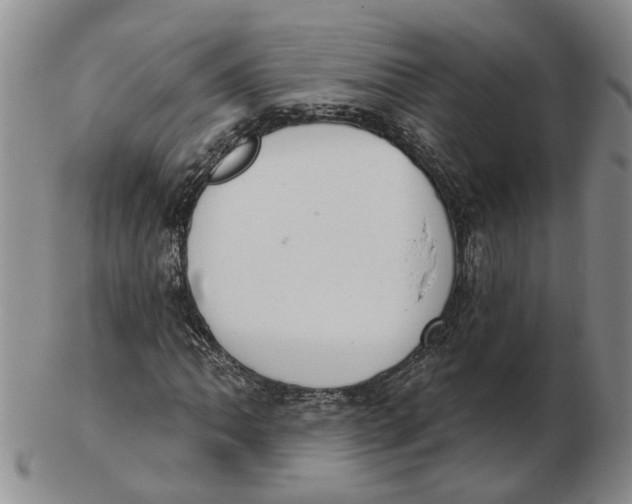 X0000102771062200809080959