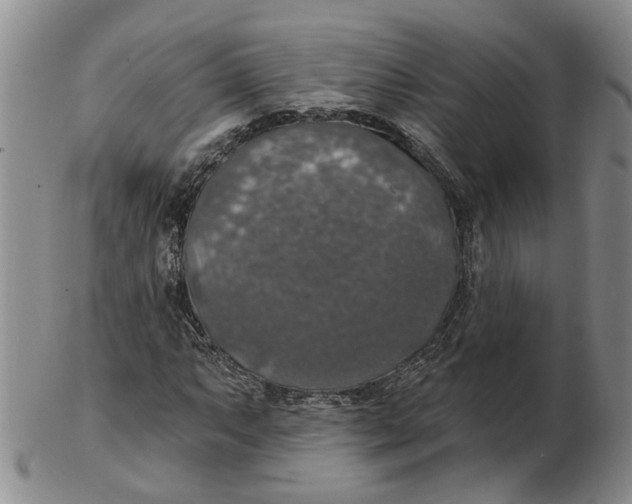 X0000102771063200809080959