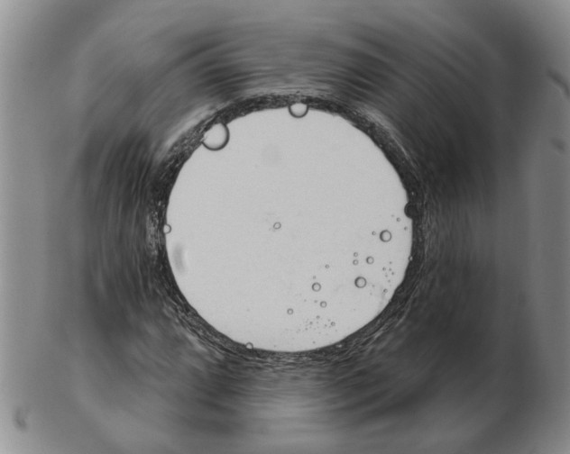 X0000102771064200809080959