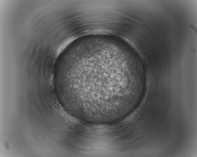 X0000102771066200809080959