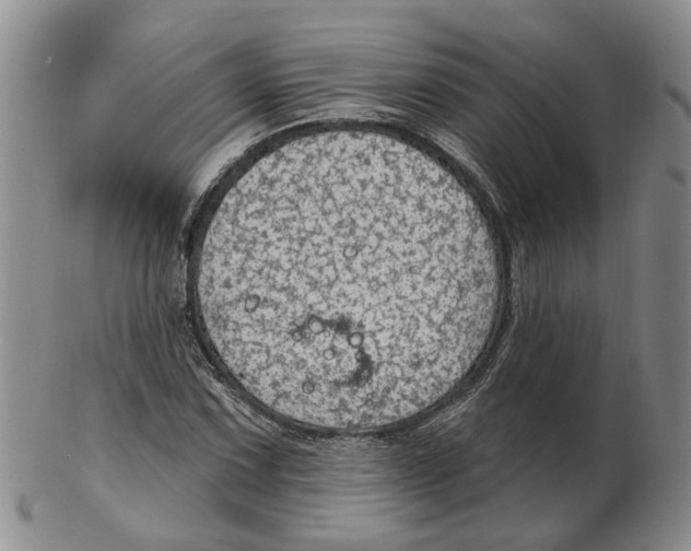 X0000102771067200809080959