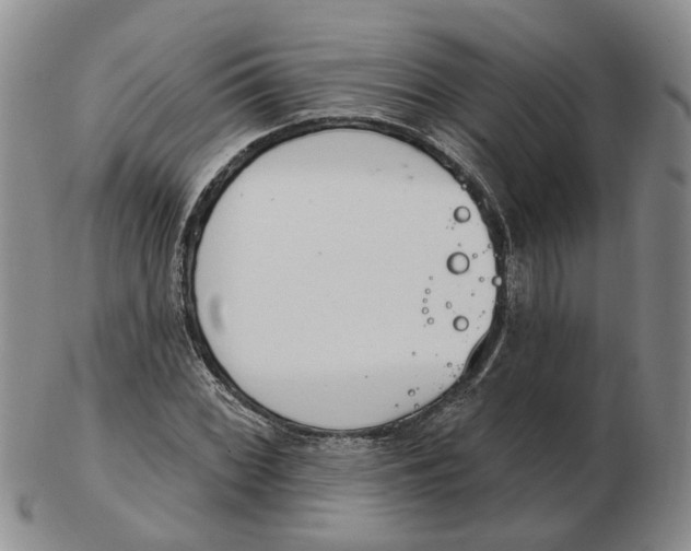 X0000102771068200809080959