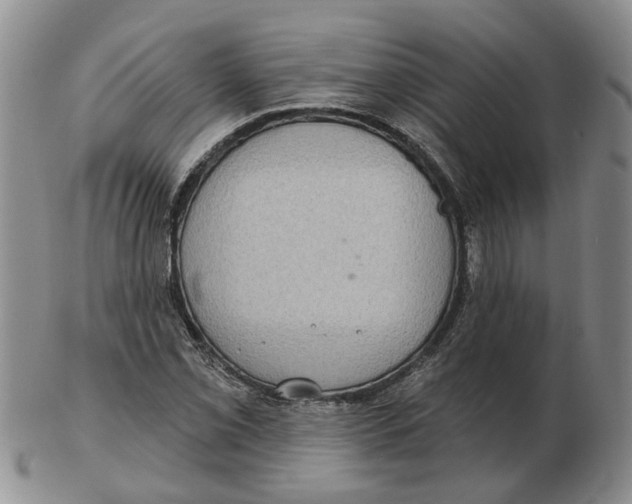 X0000102771069200809080959