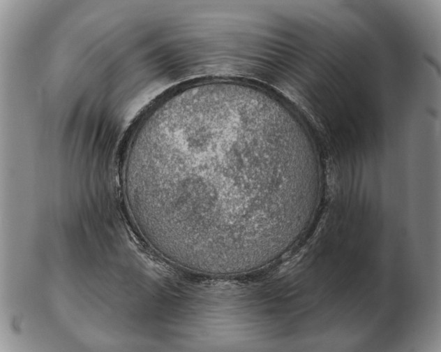 X0000102771070200809080959