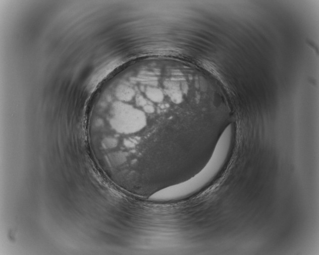 X0000102771071200809080959