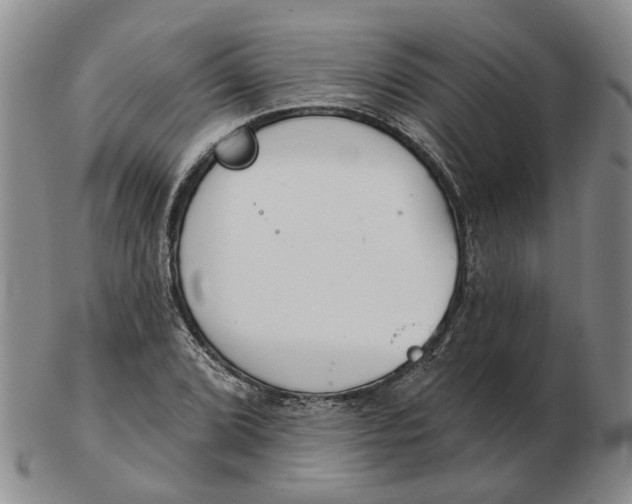 X0000102771072200809080959