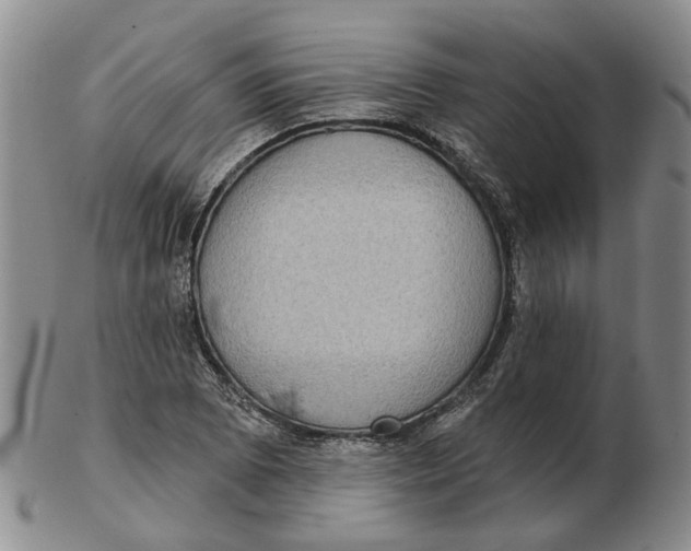 X0000102771073200809080959