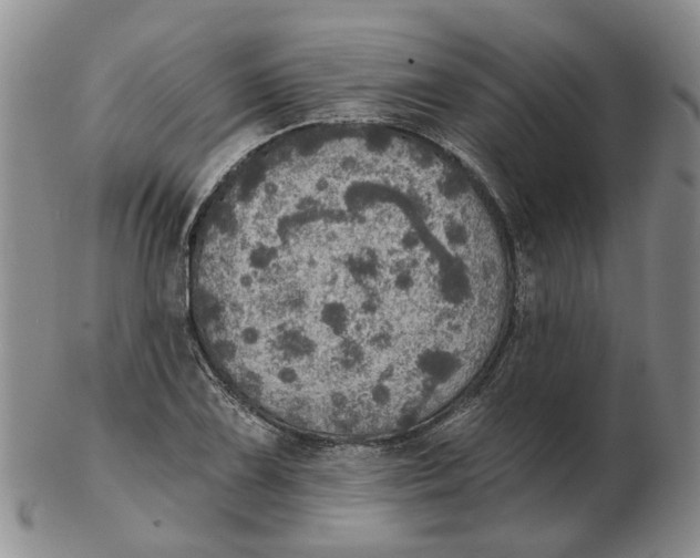 X0000102771075200809080959