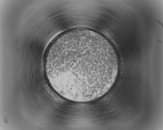 X0000102771076200809080959