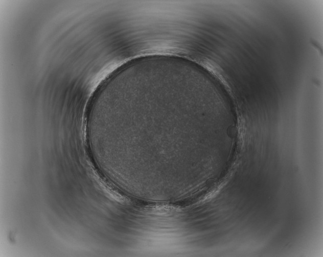 X0000102771077200809080959