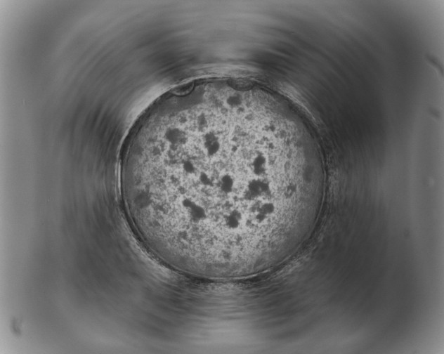 X0000102771079200809080959