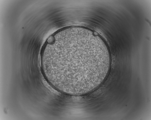 X0000102771080200809080959