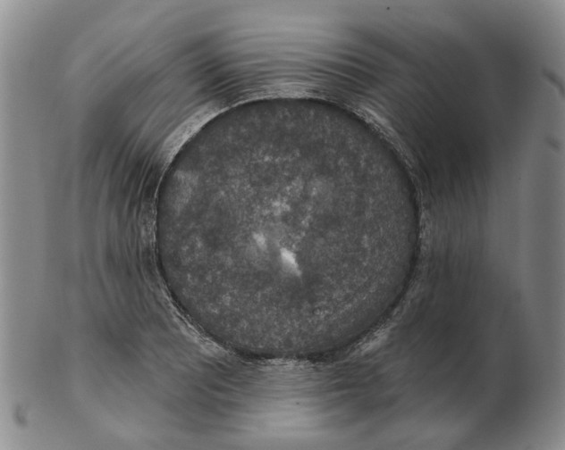 X0000102771081200809080959