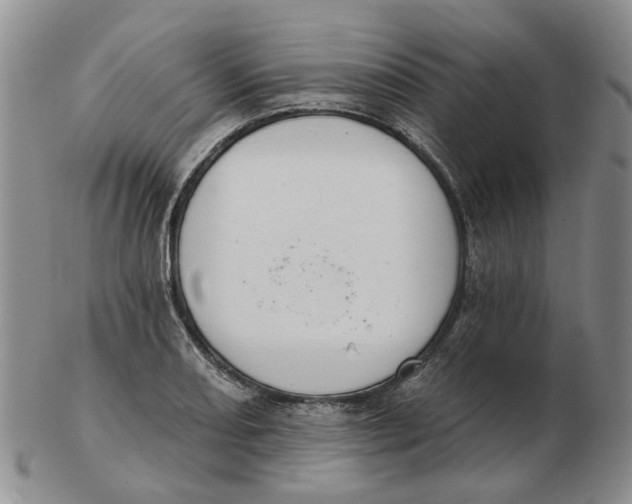 X0000102771082200809080959