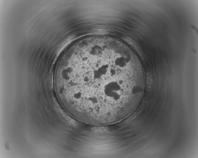 X0000102771083200809080959