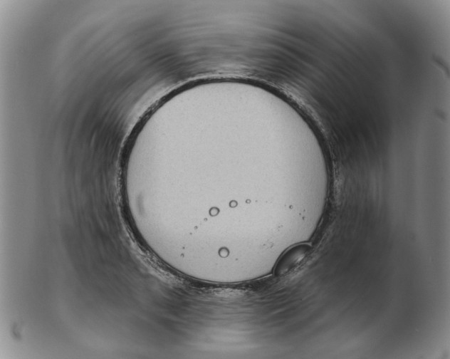 X0000102771085200809080959