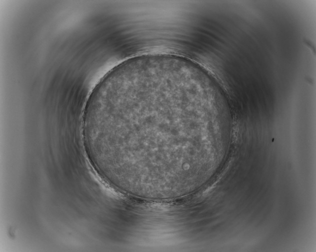 X0000102771086200809080959