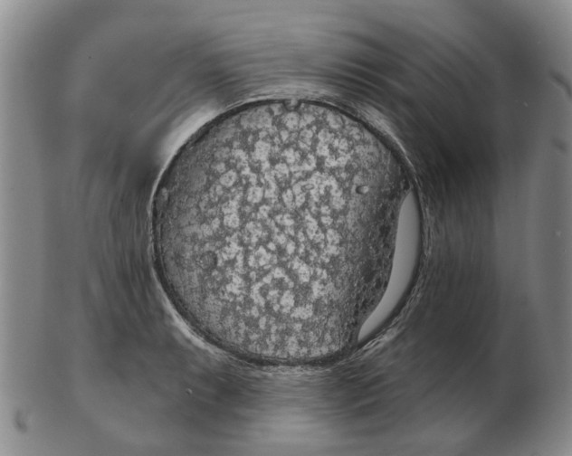 X0000102771087200809080959