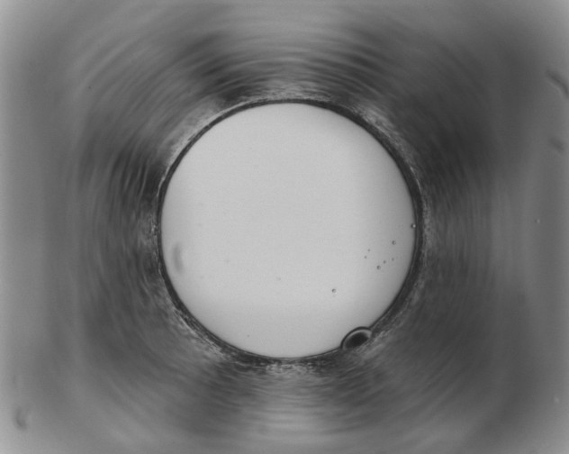 X0000102771089200809080959