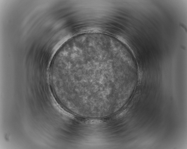 X0000102771090200809080959