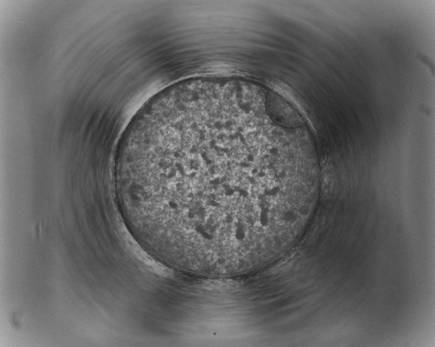 X0000102771091200809080959