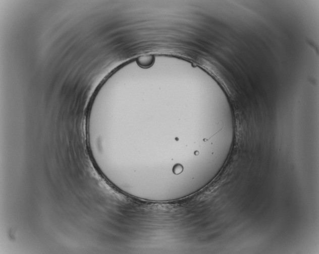 X0000102771092200809080959