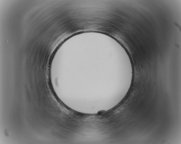 X0000102771093200809080959