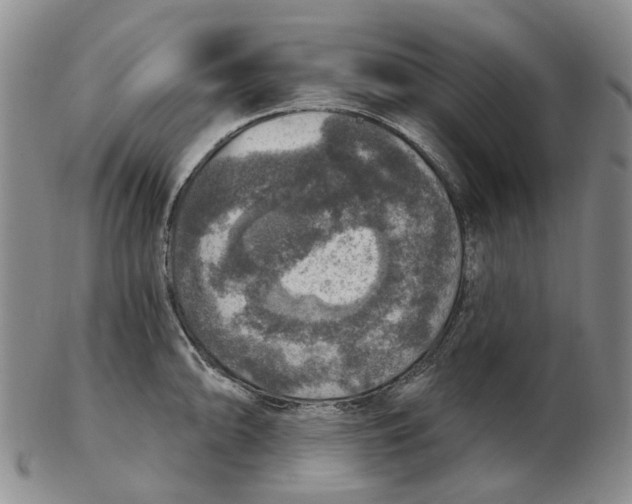 X0000102771094200809080959