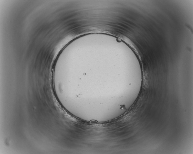 X0000102771096200809080959