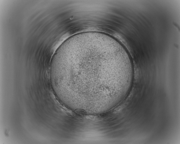 X0000102771097200809080959