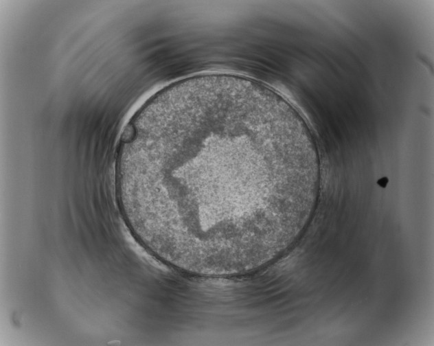 X0000102771100200809080959