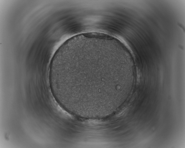 X0000102771102200809080959