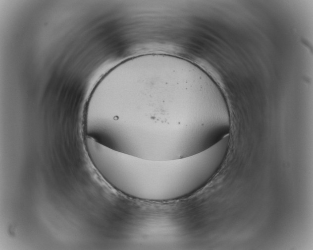 X0000102771104200809080959