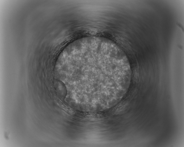 X0000102771105200809080958