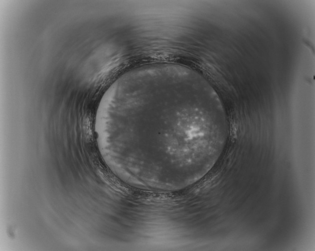 X0000102771106200809080958