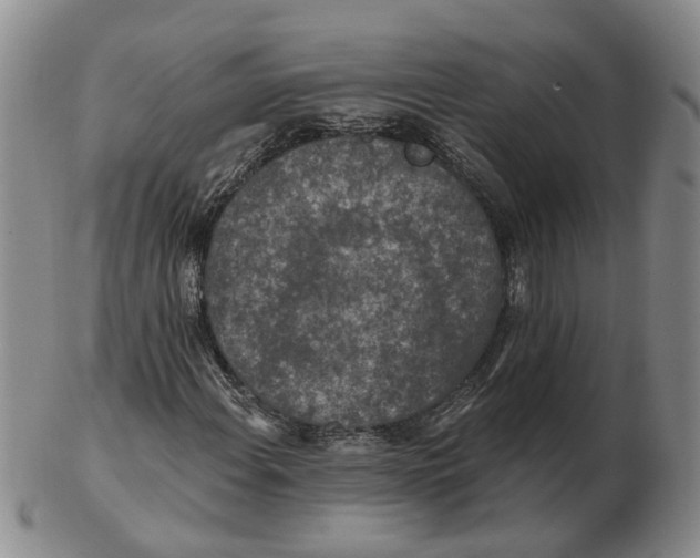 X0000102771108200809080958