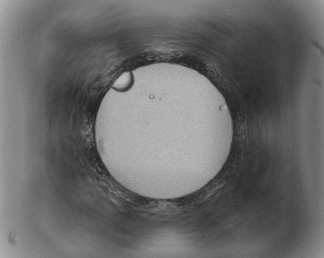 X0000102771109200809080958