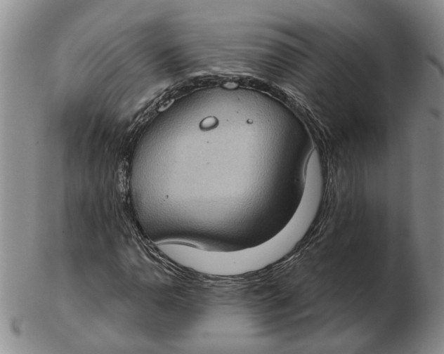 X0000102771110200809080958