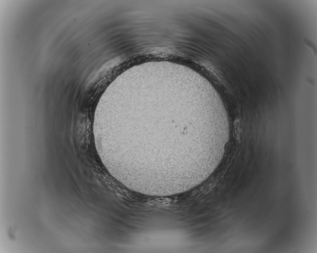 X0000102771111200809080958