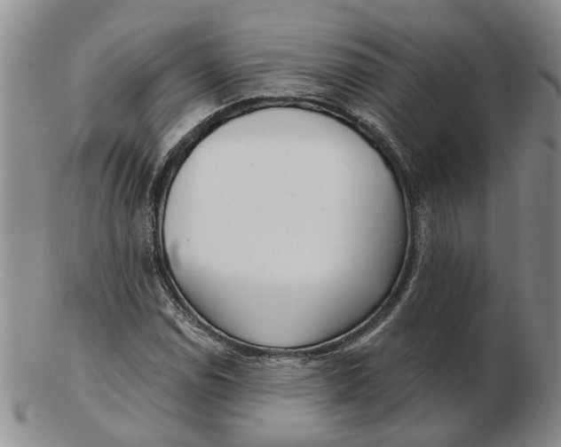 X0000102771114200809080958