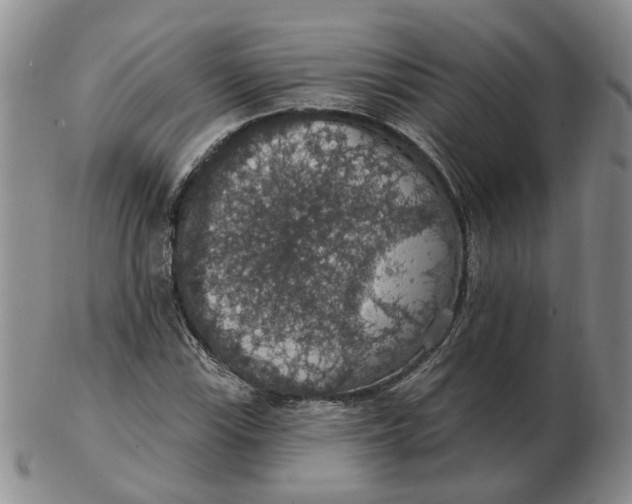 X0000102771115200809080958