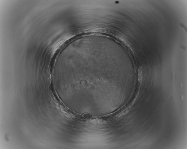 X0000102771117200809080958