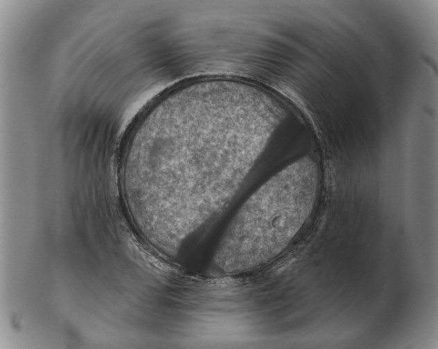 X0000102771120200809080958